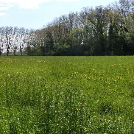 Gite Du Gardien Saint-Martin-de-Crau Εξωτερικό φωτογραφία