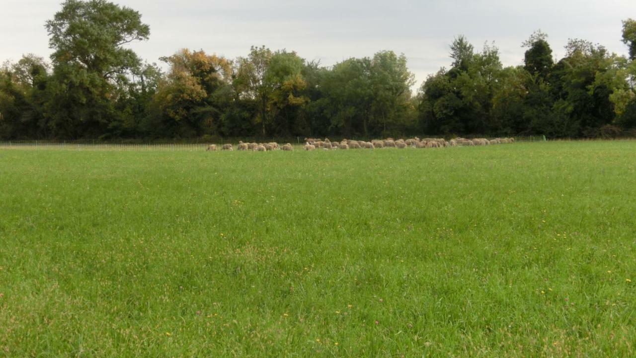 Gite Du Gardien Saint-Martin-de-Crau Εξωτερικό φωτογραφία