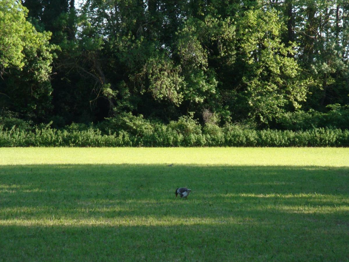 Gite Du Gardien Saint-Martin-de-Crau Εξωτερικό φωτογραφία