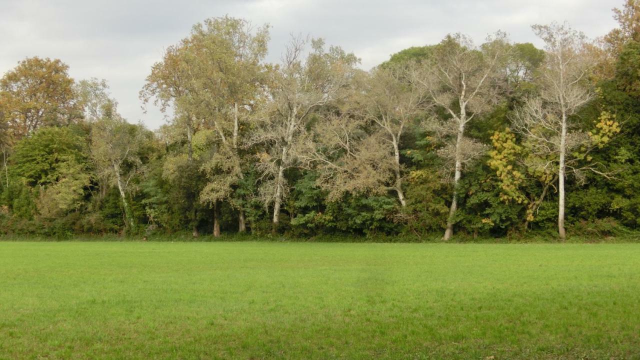 Gite Du Gardien Saint-Martin-de-Crau Εξωτερικό φωτογραφία