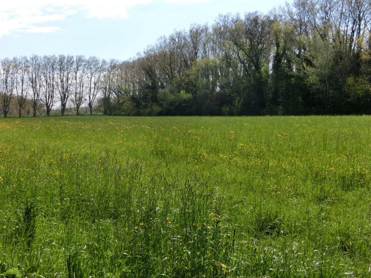 Gite Du Gardien Saint-Martin-de-Crau Εξωτερικό φωτογραφία